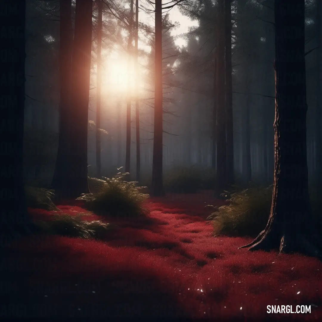 PANTONE 7622 color example: Path through a forest with red carpeting and trees in the background