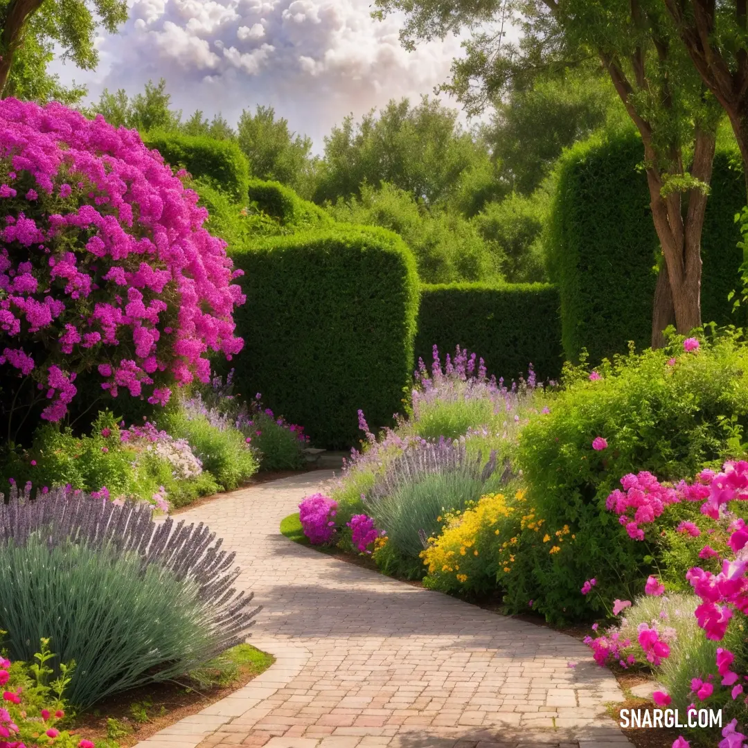 Pathway through a garden with flowers and trees in the background. Color CMYK 22,100,0,16.