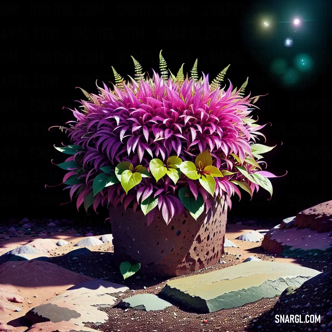 Purple flower in a pot on a rock surface with a bright light shining in the background. Color RGB 148,60,132.