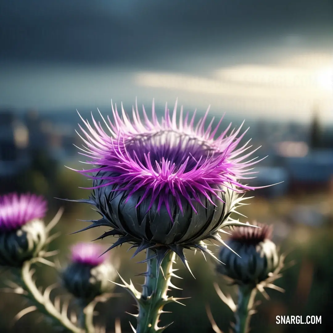 Purple flower with a city in the background. Color PANTONE 7658.