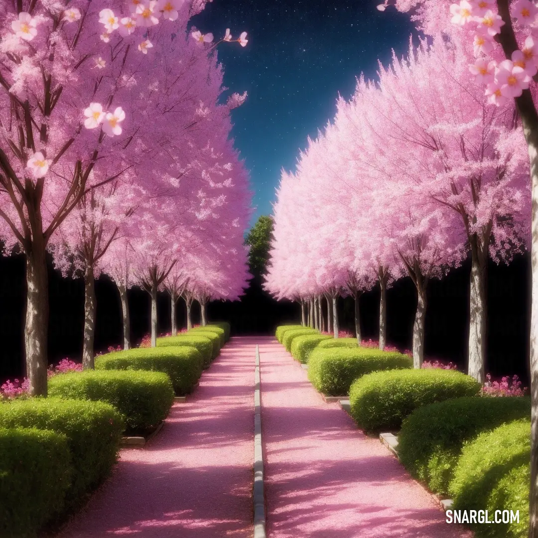 PANTONE 7746 color example: Pink pathway lined with trees and bushes under a night sky with stars and clouds above it and a pink pathway