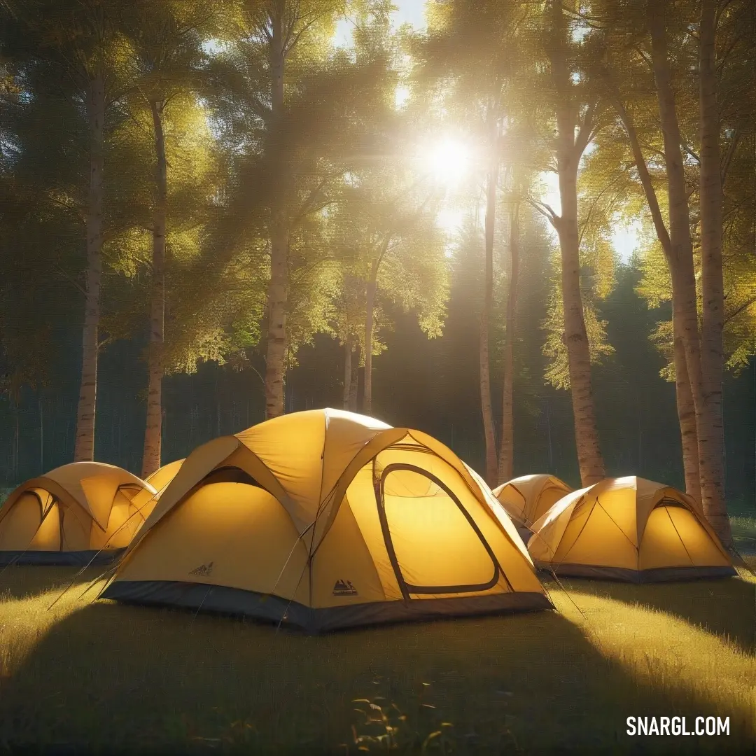PANTONE 7755 color. Group of tents in the middle of a forest with the sun shining through the trees behind them