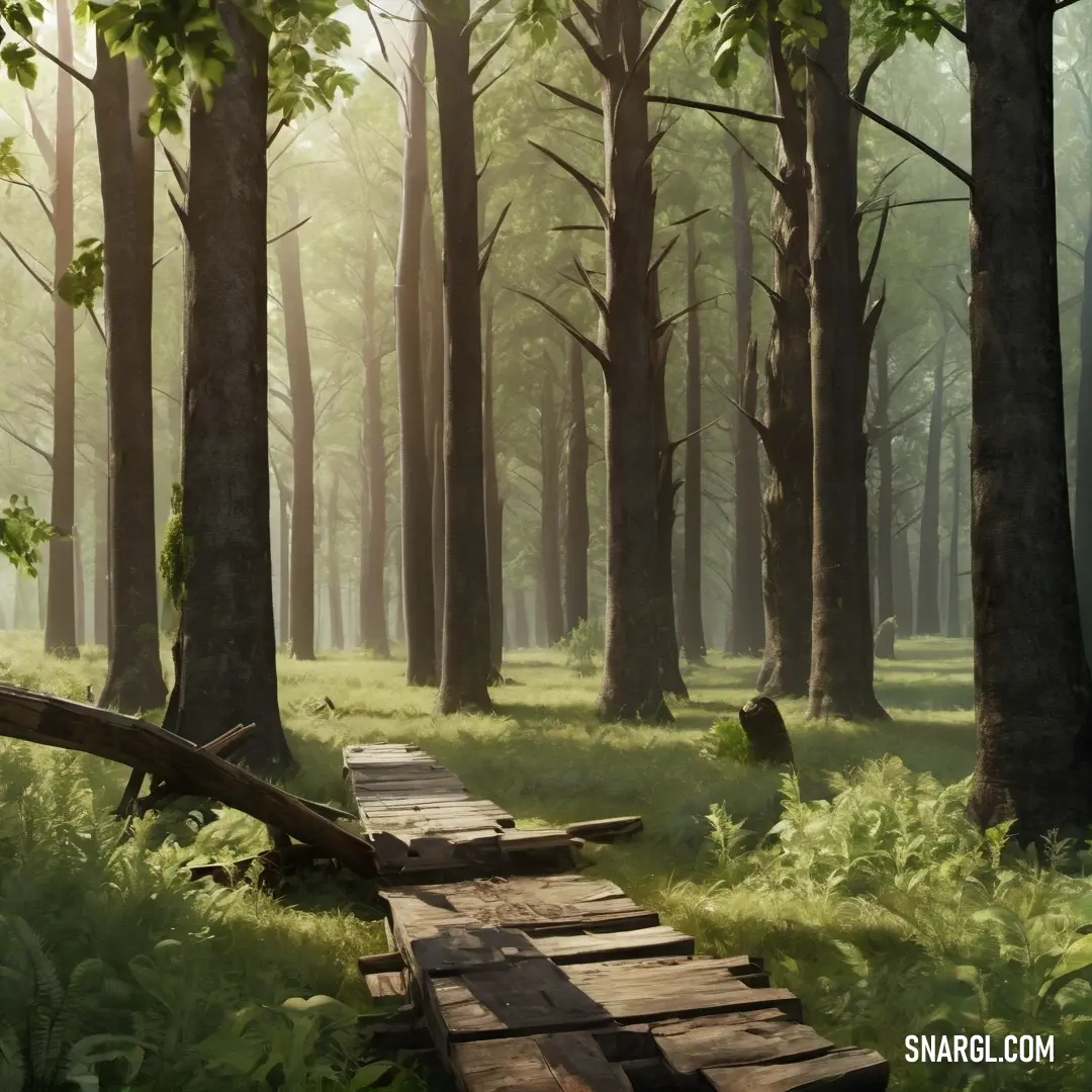 Wooden path in a forest with tall trees and grass on both sides of it. Example of PANTONE 7763 color.