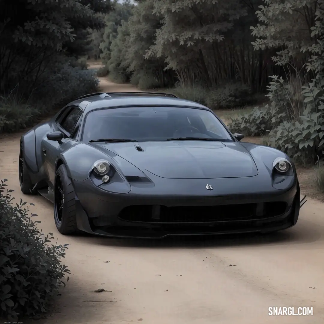 Grey sports car parked on a dirt road in the woods next to bushes and trees. Example of PANTONE Cool Gray 10 color.