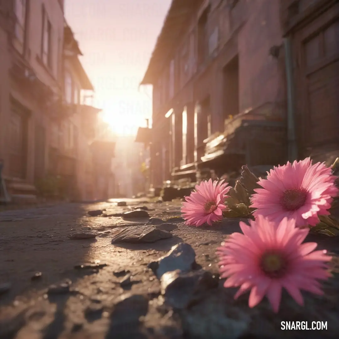 A stunning array of pink flowers blooms gracefully on the ground, set against the backdrop of a majestic building bathed in the warm glow of a setting sun. The colors blend beautifully, creating a serene and captivating atmosphere.