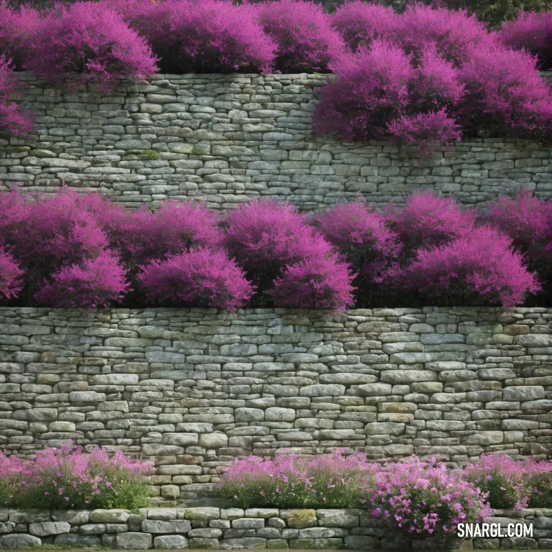 A rustic stone wall adorned with delicate purple flowers climbing its surface. A charming bench in the foreground invites pause and reflection amidst the lively hues, embodying the spirit of CMYK 9,87,0,0.