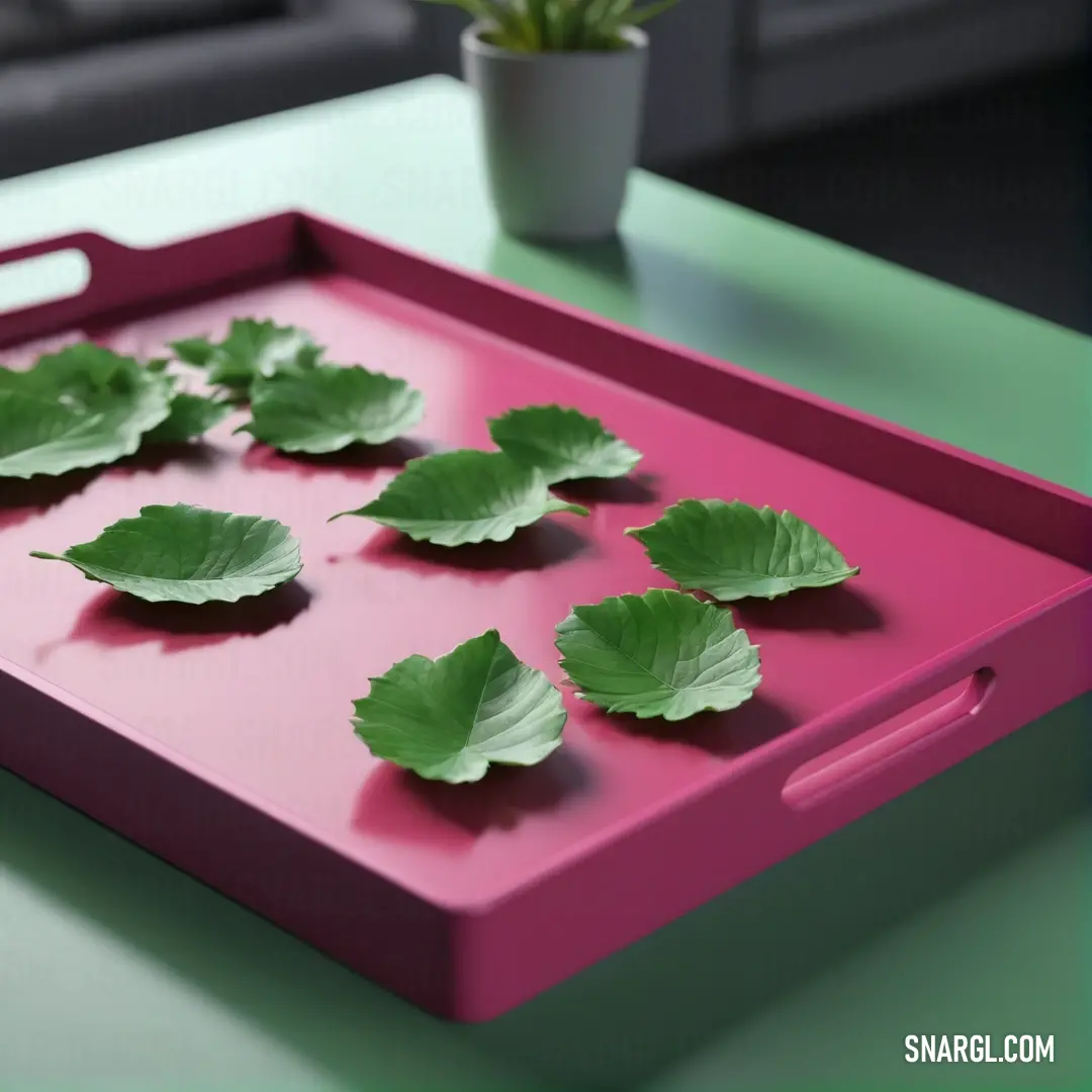 A beautifully arranged tray displays lush green leaves, elegantly positioned on a stylish table. In the background, a potted plant and a cozy couch create a warm, inviting atmosphere, all harmonized by the serene RGB color of 203,72,145.