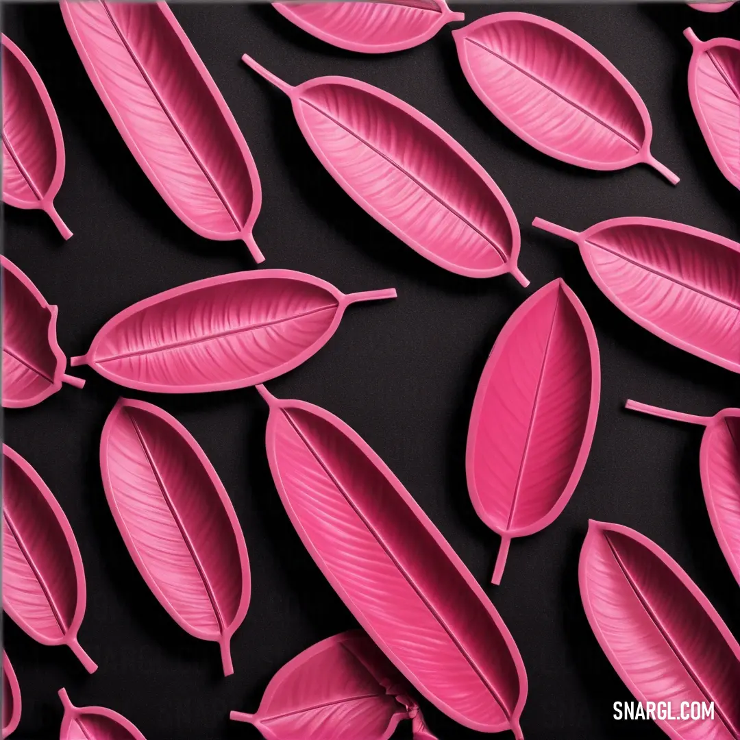 Group of pink leaves on a black background. Example of CMYK 0,100,22,3 color.
