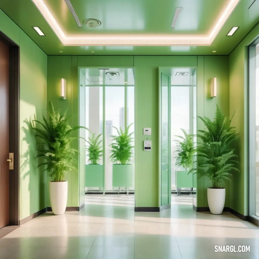 Green room with a plant in the middle of it and a door way leading to another room with a plant in the middle. Example of #77DD77 color.