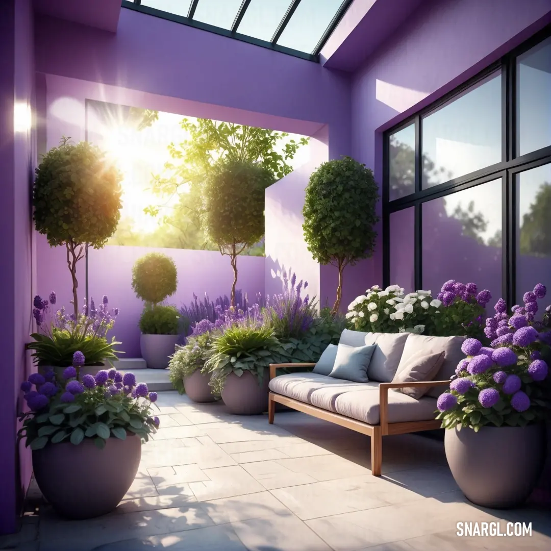 Purple room with a couch and some plants in it and a sun shining through the window above the couch. Color Pastel violet.