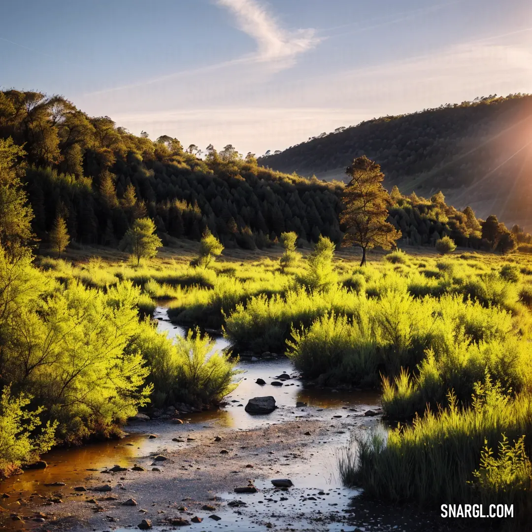 A crystal-clear stream gently winds its way through a vibrant, sun-kissed forest. The surrounding trees and bushes come alive in the soft golden glow of the sunset, casting long shadows on the rocky banks as the mountains in the distance glisten with sunl