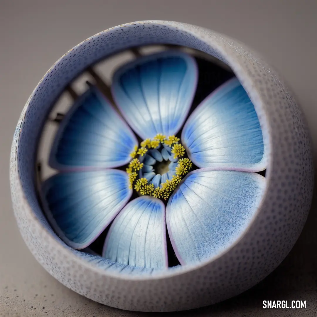 Blue flower is in a white vase on a table top with a yellow center