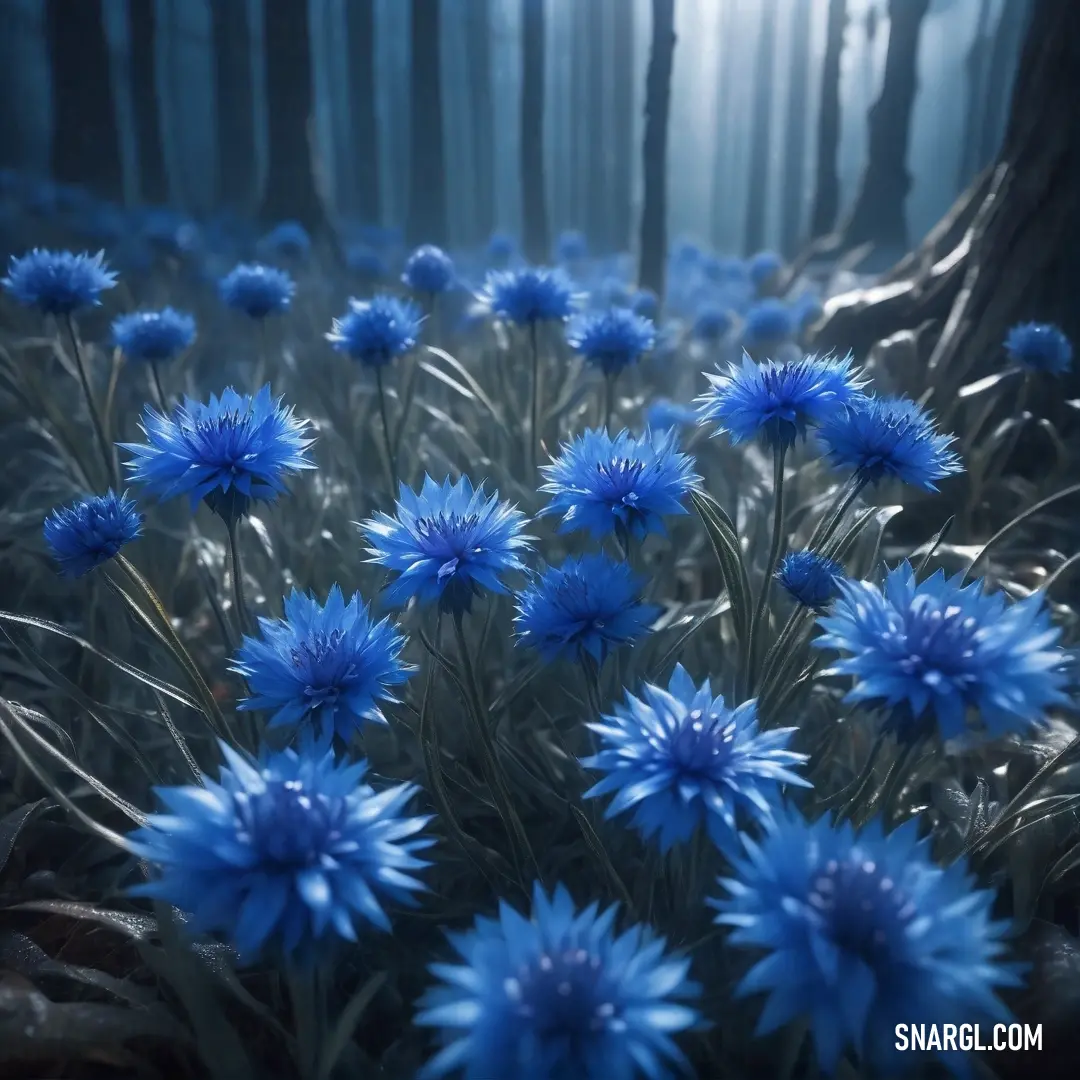 Bunch of blue flowers in a forest with sunlight coming through the trees and the leaves on the ground. Color #1C39BB.