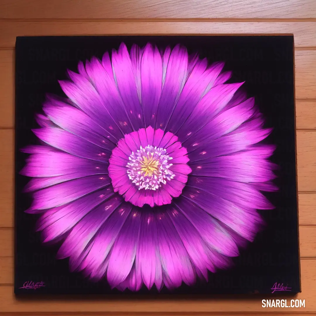 Purple flower on a black background with a wooden background behind it and a wooden wall behind it