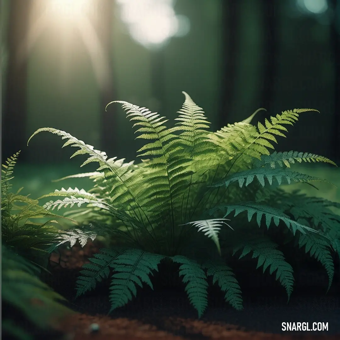 Fern is growing in the middle of a forest with sunlight shining through the trees and leaves on the ground. Color CMYK 25,0,42,23.