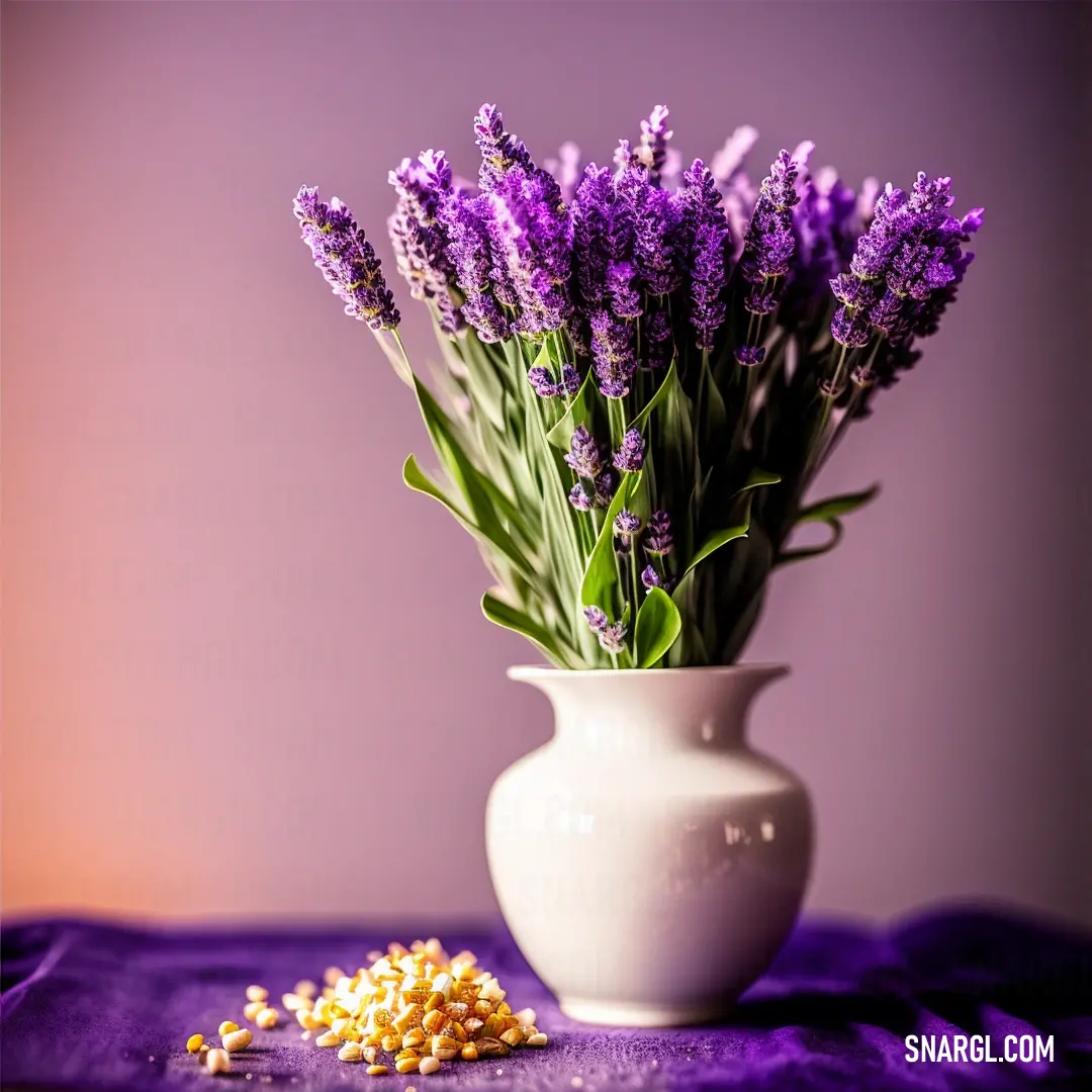 White vase filled with purple flowers next to a pile of corn kernels on a purple cloth covered table. Color #DDA0DD.