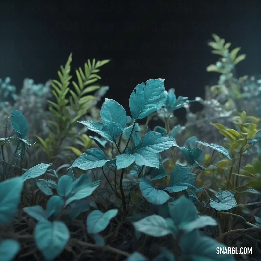 Group of plants that are in the dirt and grass with leaves on them and a black background. Color Powder blue.