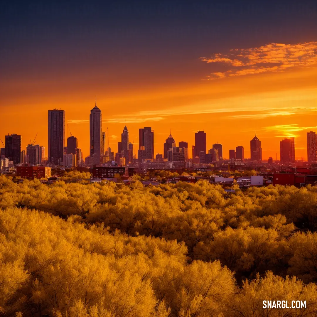 City skyline is shown in the distance with yellow trees in the foreground