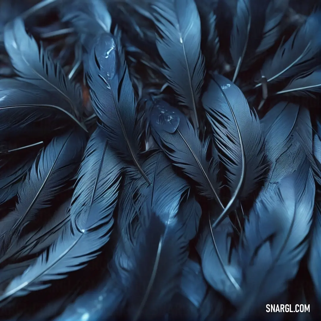 Prussian blue color. Bunch of blue feathers are piled together in a pile