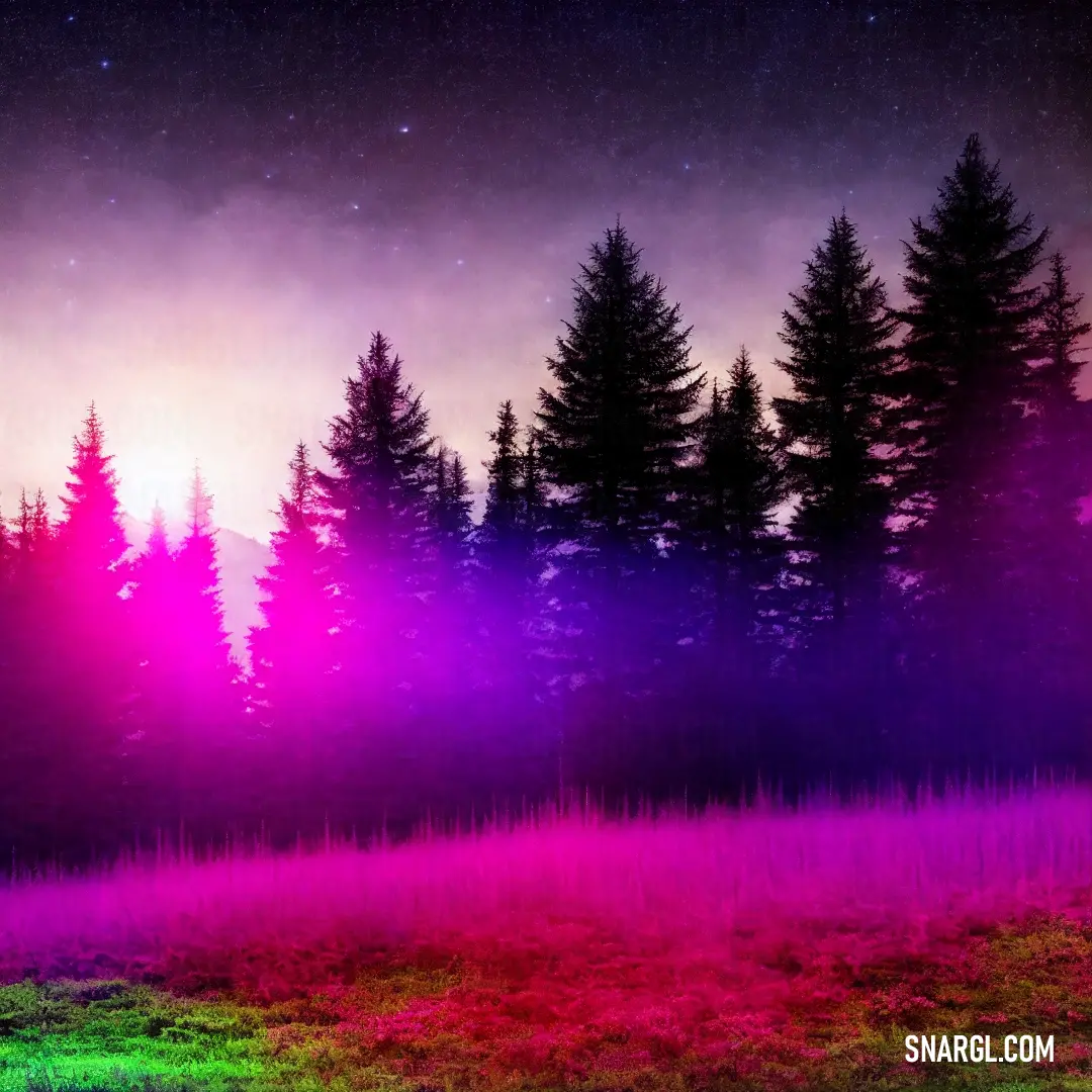 Field with trees and grass in the foreground and a purple sky in the background with stars and a pink and green light