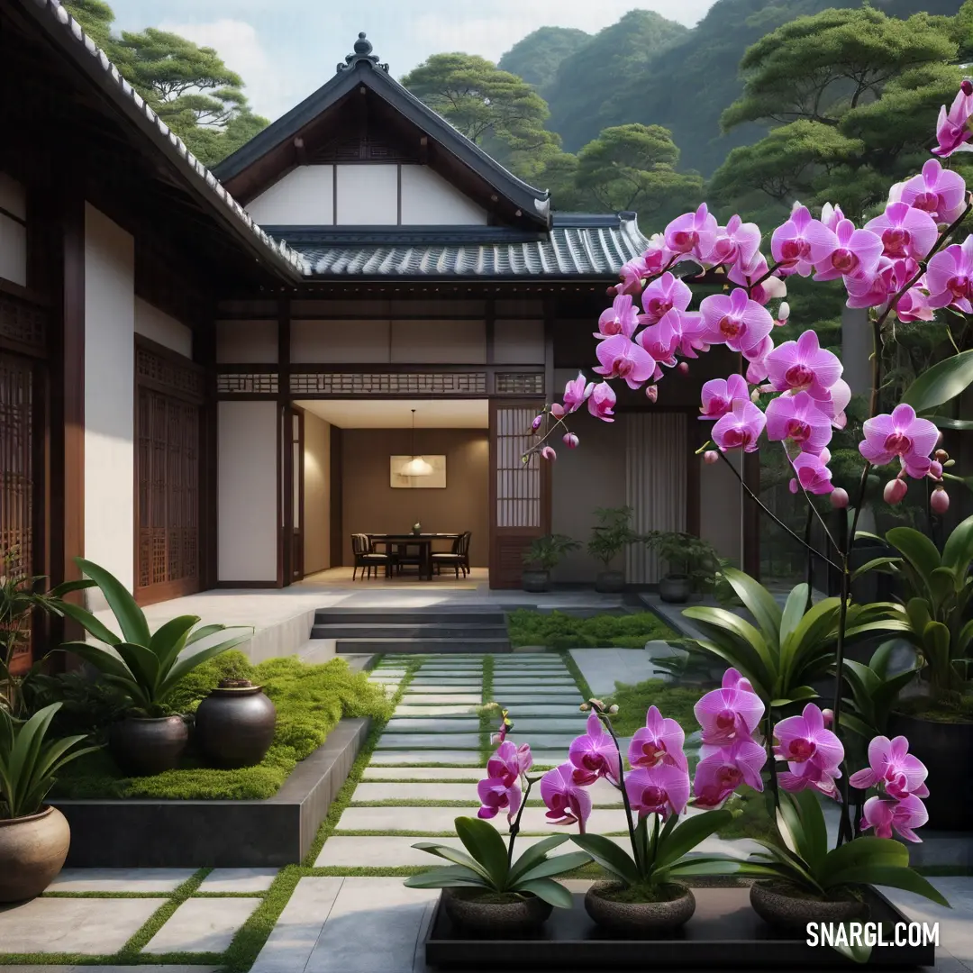 Garden with a lot of flowers and a building in the background. Example of RGB 128,0,128 color.