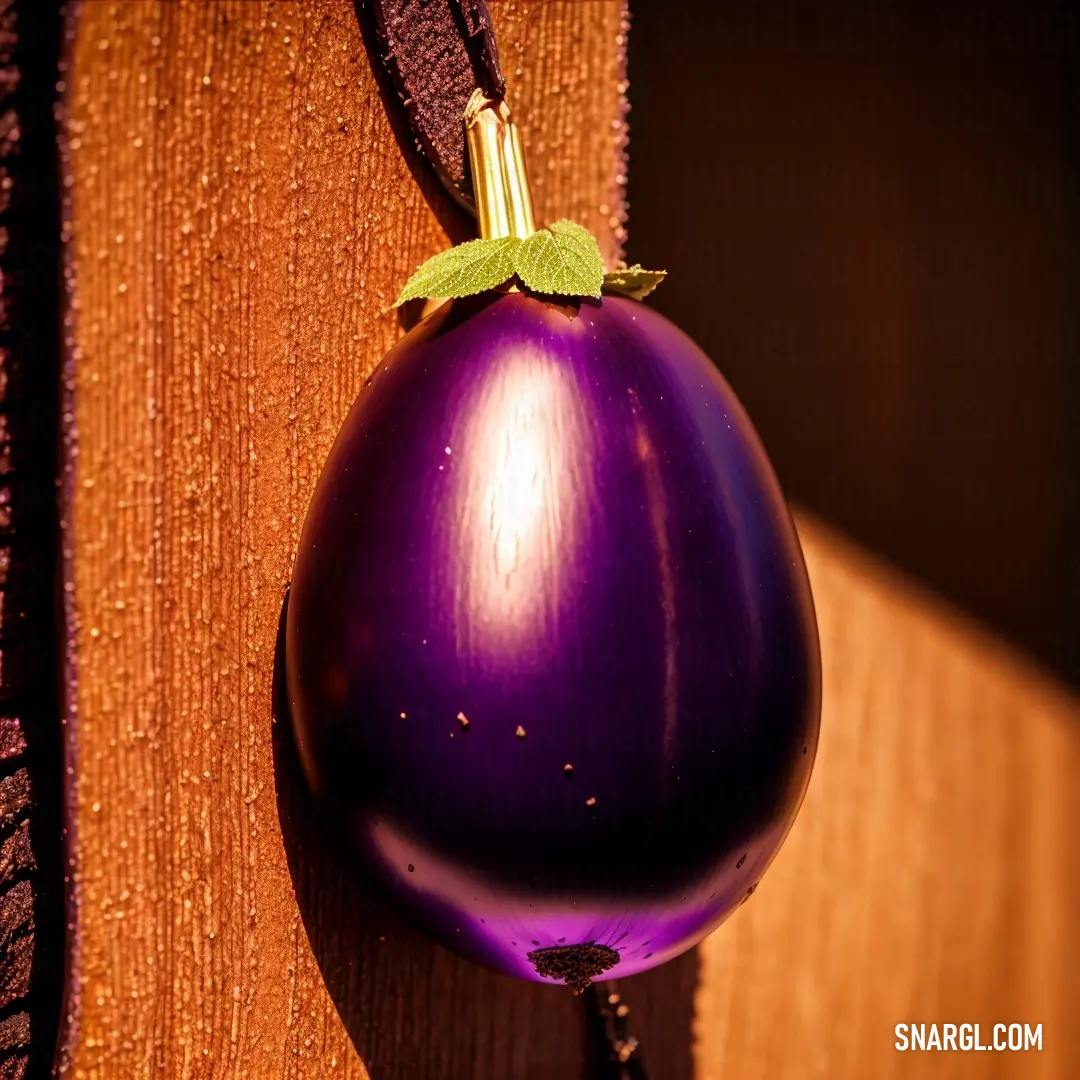 Purple eggplant hanging on a wooden wall with a green leaf on it's end and a brown cord. Color CMYK 0,100,0,50.