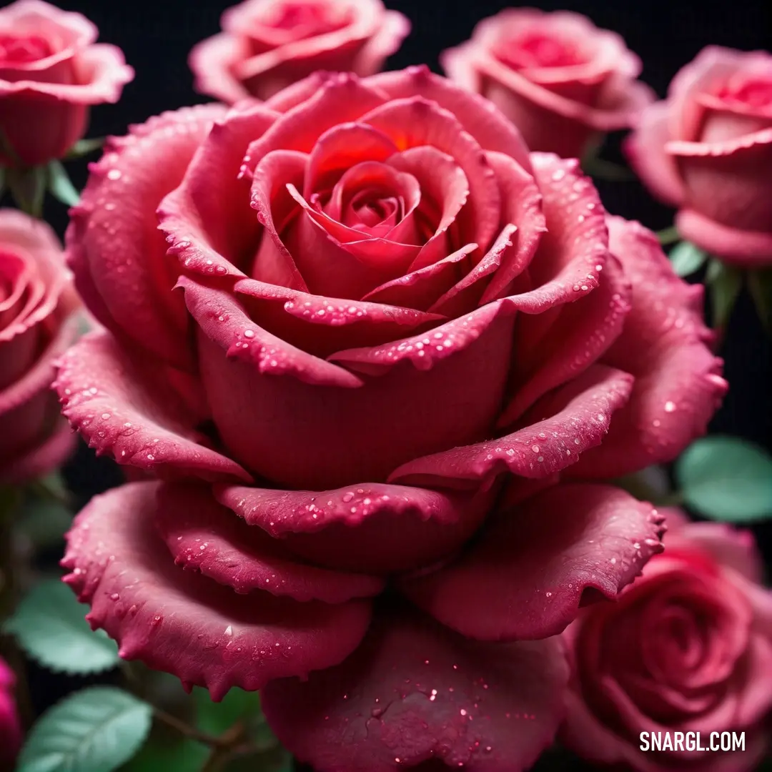 A lush bouquet of pink roses adorned with dew drops, exuding freshness and romance. Their vibrant hue captures attention, evoking emotions of love and admiration in every view.