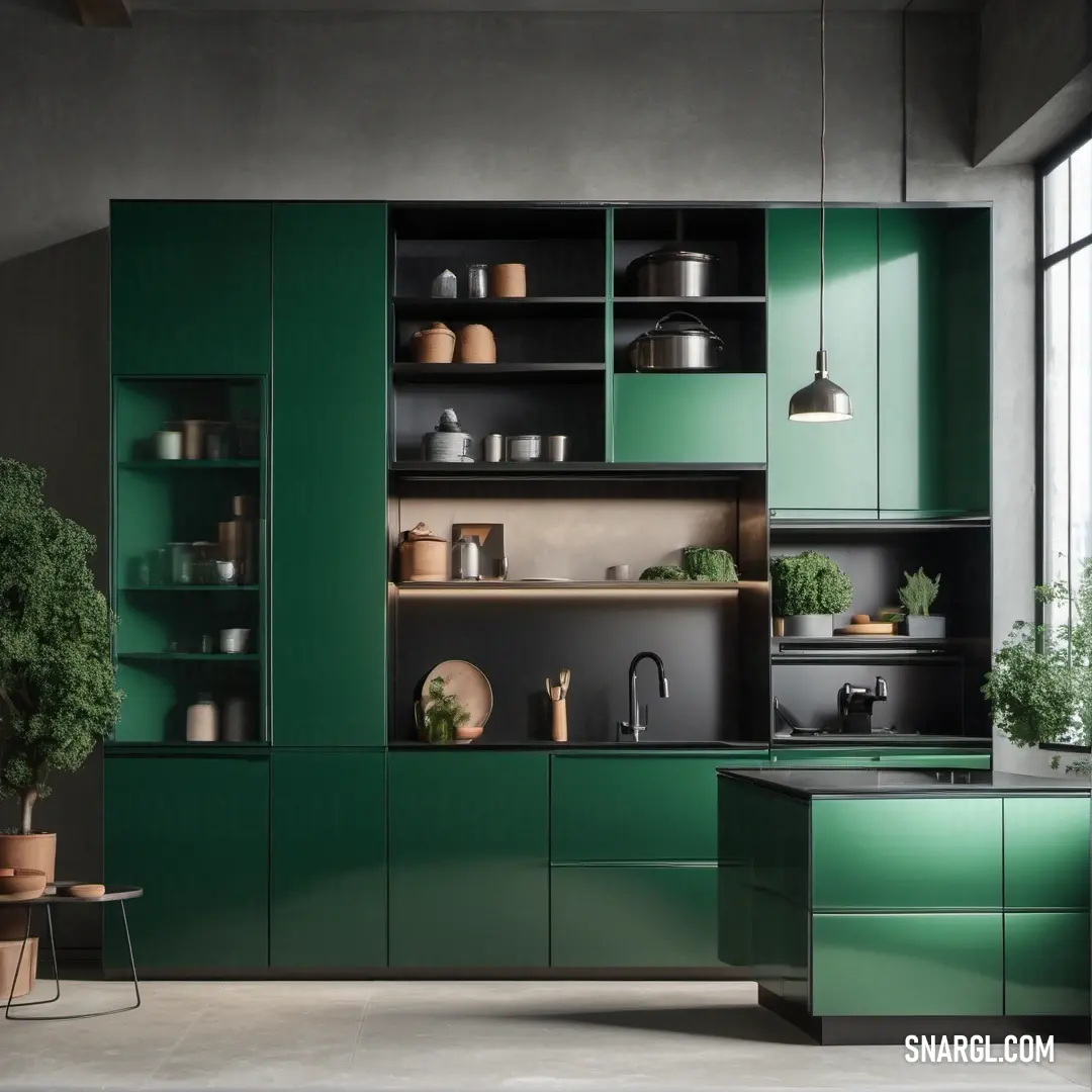 Kitchen with green cabinets and a black counter top and a potted plant in the corner of the room. Example of RAL 220-4 color.