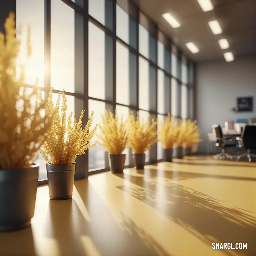 Row of potted plants on top of a table next to a window in a room with a lot of windows. Color RAL 290-3.