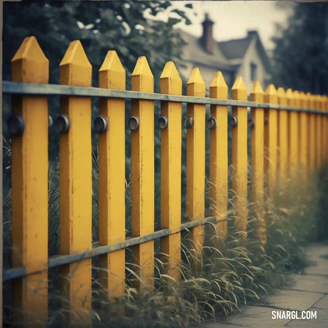 Yellow fence with a house in the background. Example of #B99044 color.