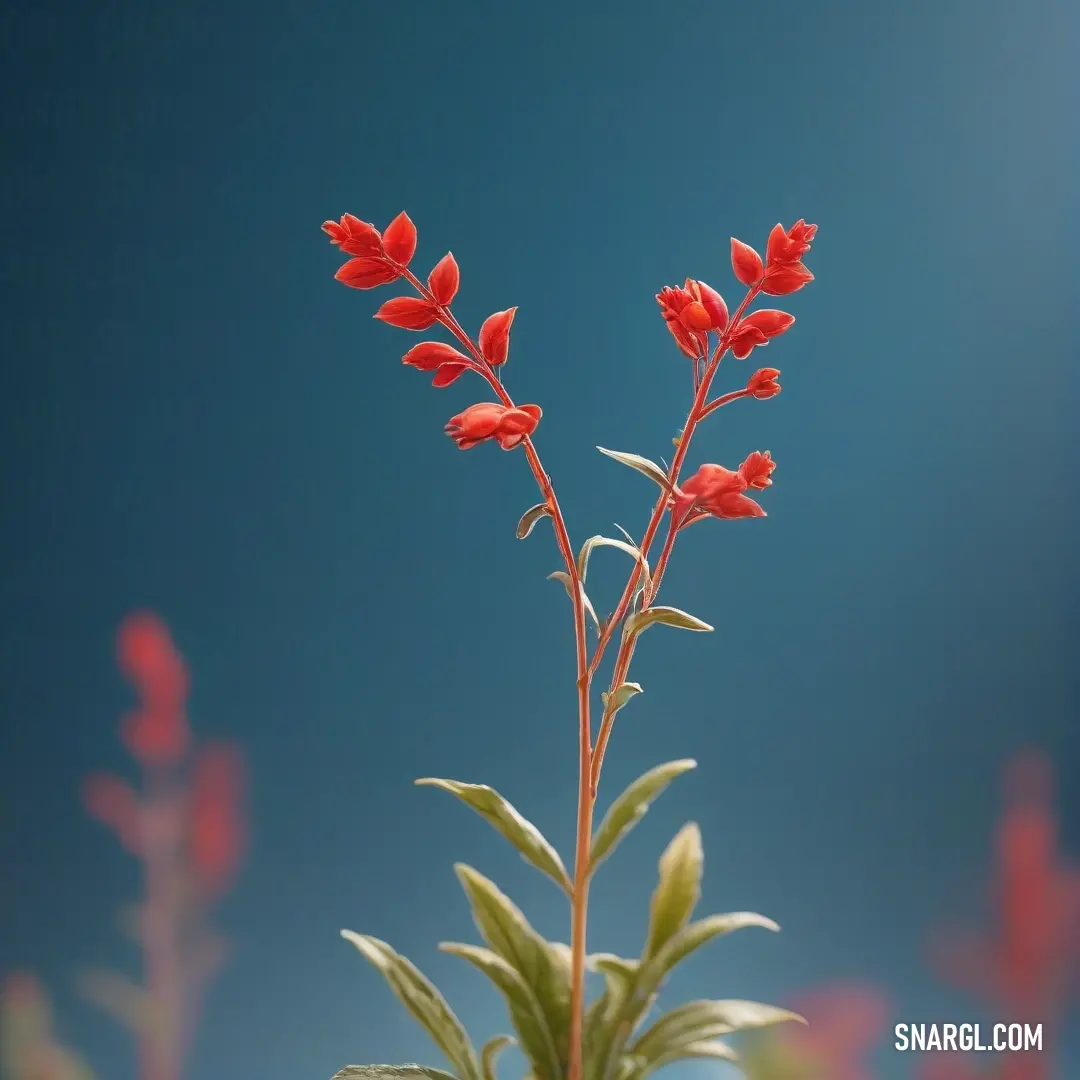 In this vibrant image, a red flower blooms magnificently in the foreground, set against a brilliant blue sky. The colors weave together to create a striking contrast, showcasing nature's artistry and the beauty of sunny days.