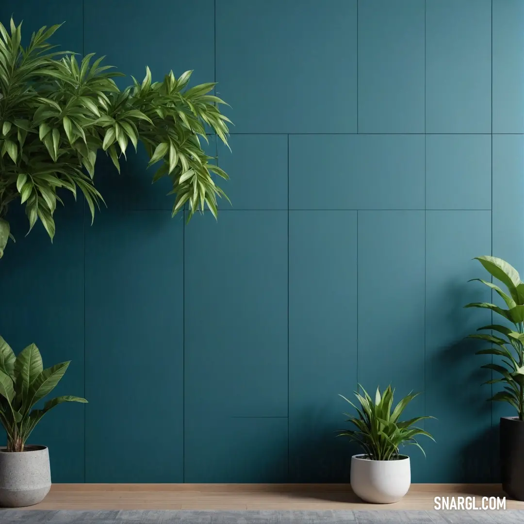 Three charming potted plants stand elegantly on a wooden tabletop against a vivid blue wall. The lush greenery adds a refreshing touch to the decor, creating a lively and inviting space filled with nature's beauty.