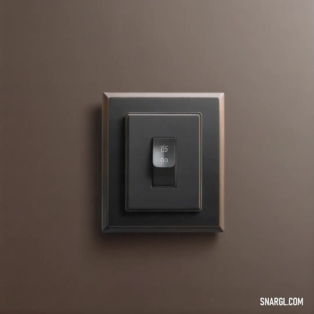 Black and silver light switch on a brown wall with a white light switch on it's side. Example of RGB 47,50,53 color.