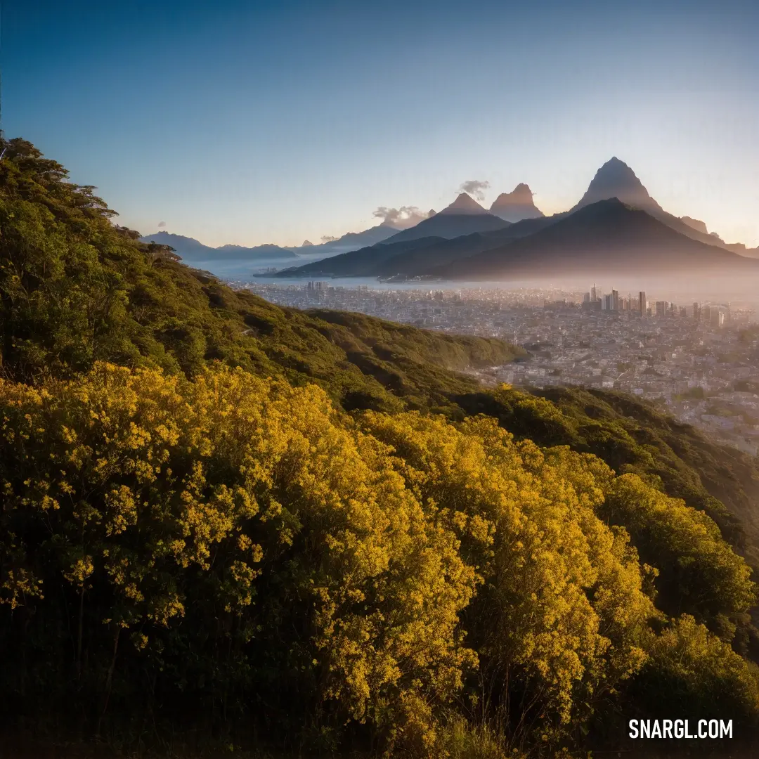 A panoramic view from a hill, showing a bustling city below, framed by a vibrant foreground of trees and bushes. The peaceful nature contrasts with the dynamic urban landscape, showcasing the beauty of nature blending with human civilization.