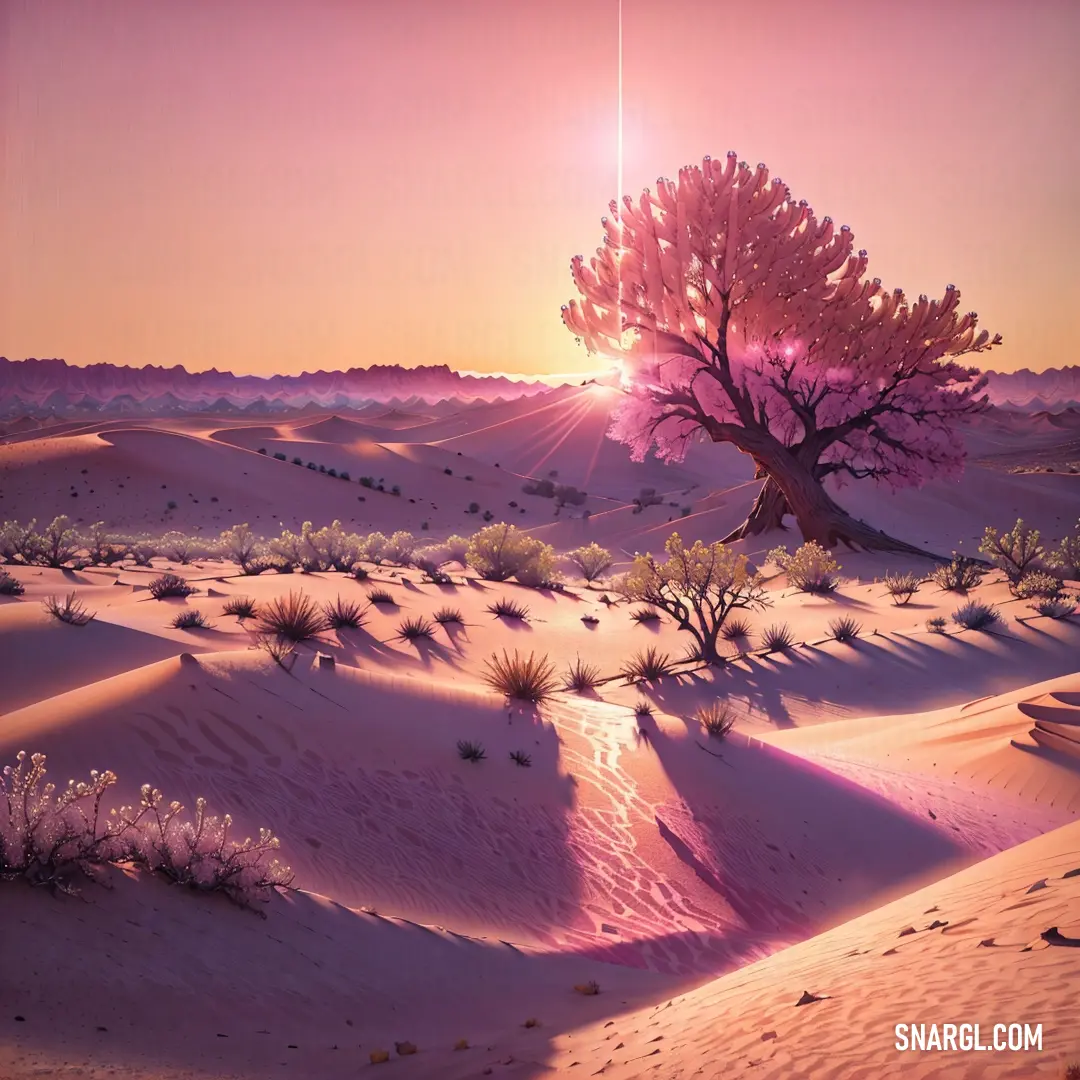Desert scene with a tree and a sunset in the background with a pink sky and sun shining through the trees