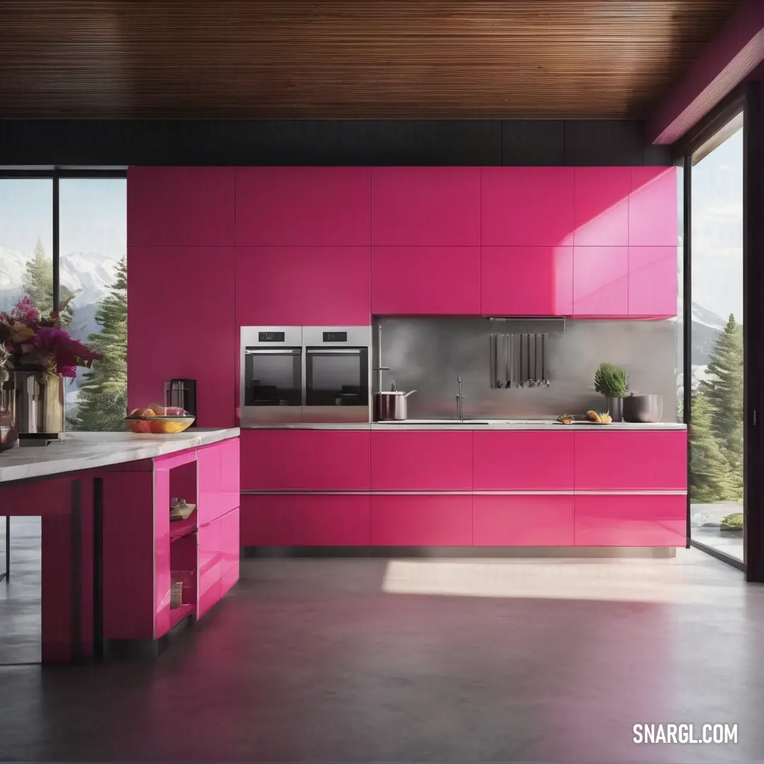 Kitchen with a pink counter and a stove and microwave in it and a window with a view of the mountains. Color CMYK 0,95,59,11.