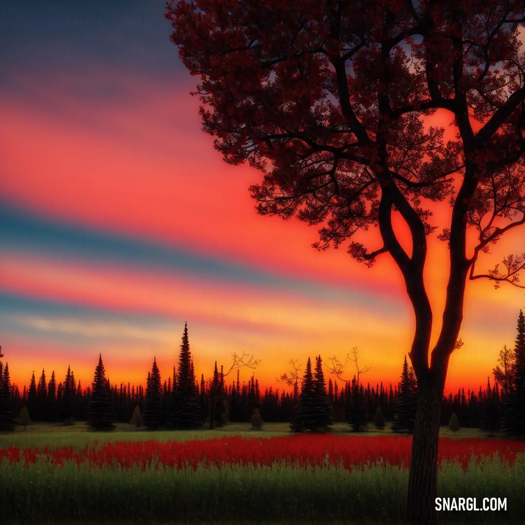 Tree in a field with a sunset in the background and a red sky in the background with clouds