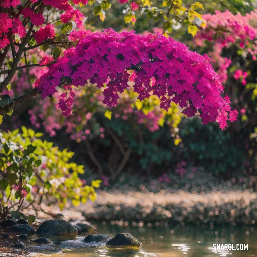 Tree with pink flowers in the background. Color #C71585.