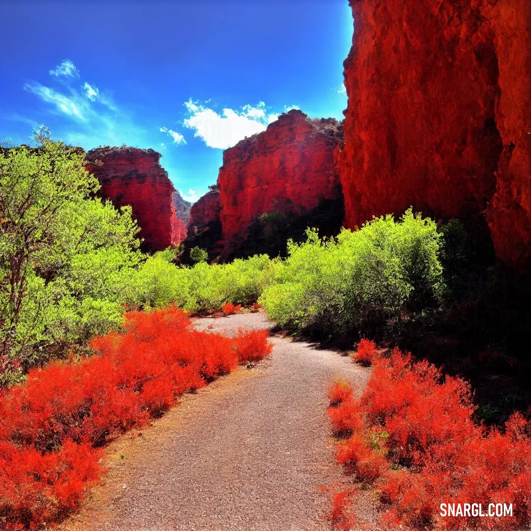 Dirt road surrounded by red rocks and trees with a blue sky in the background