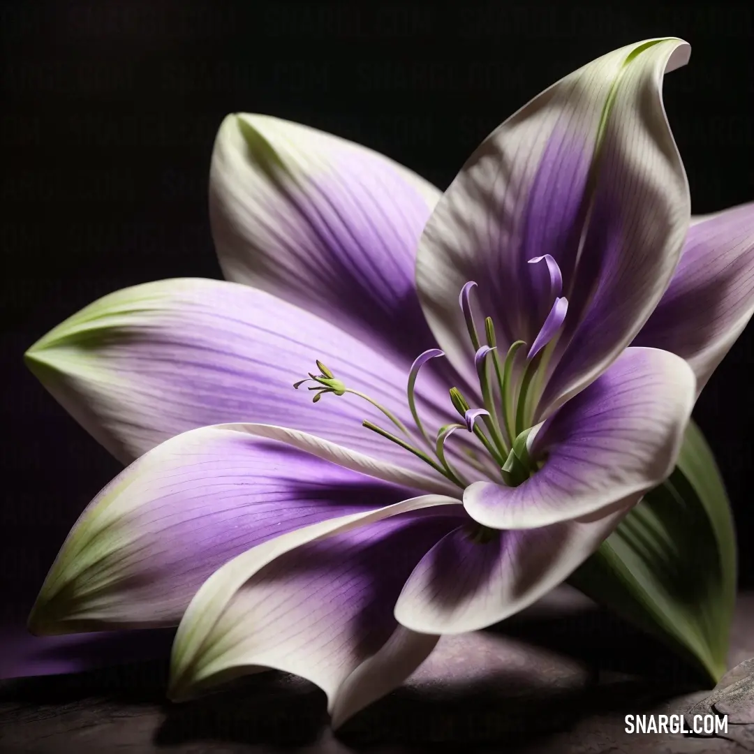 Purple flower with green leaves on a black background. Color #B666D2.