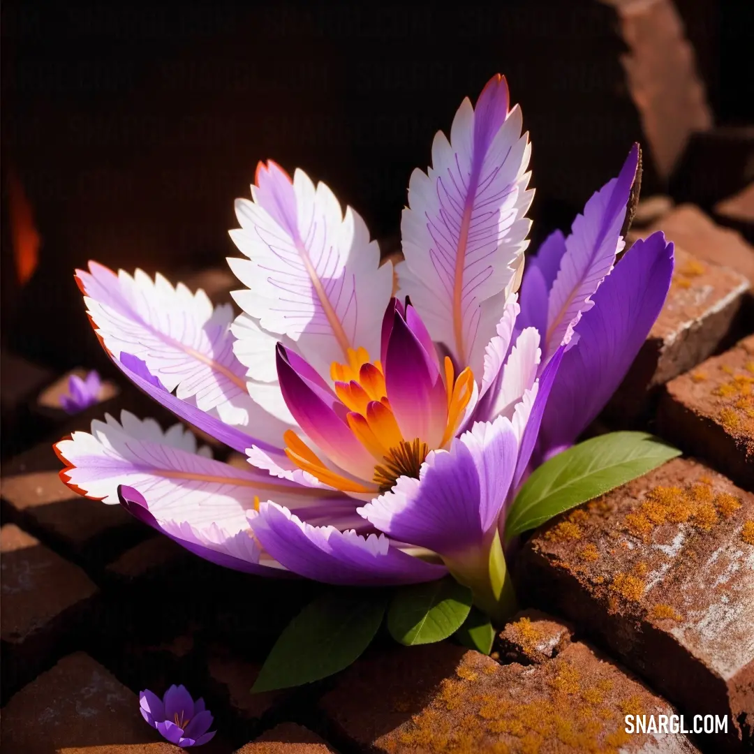Purple flower on top of a brick wall next to a brick wall with purple flowers growing out of it. Example of Rich lilac color.