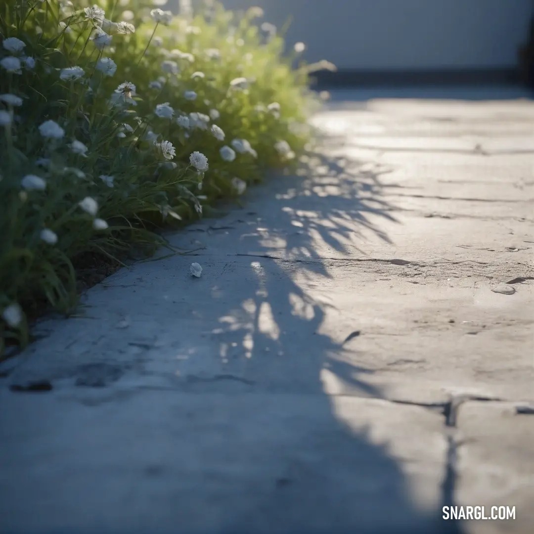 A vibrant sidewalk covered with colorful flowers, bordered by a car parked on the street, all in a soothing rose quartz color palette.