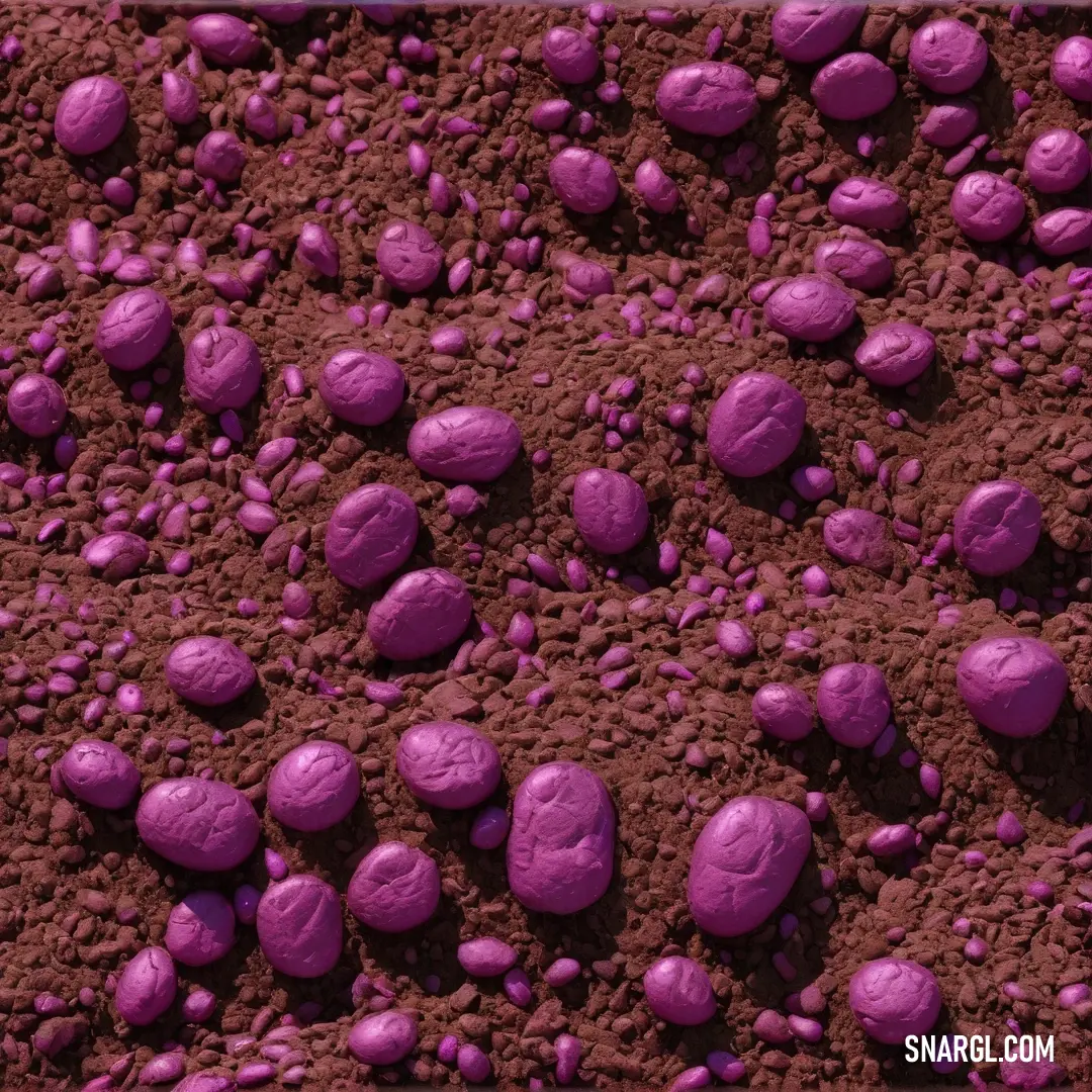 Royal fuchsia color. Close up of a purple substance on a surface of dirt and dirt with rocks on it and a white frame