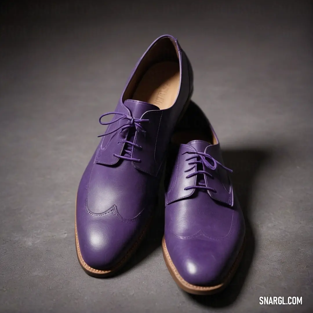 Royal purple color example: Pair of purple shoes on a gray surface with a brown sole and a black heel with a lace