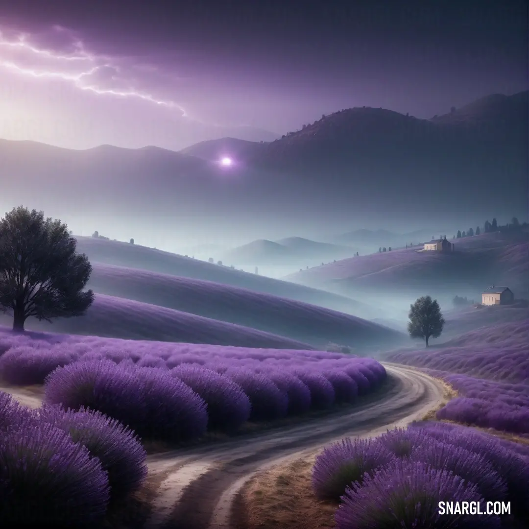 Royal purple color. Road winding through a lavender field with a full moon in the background