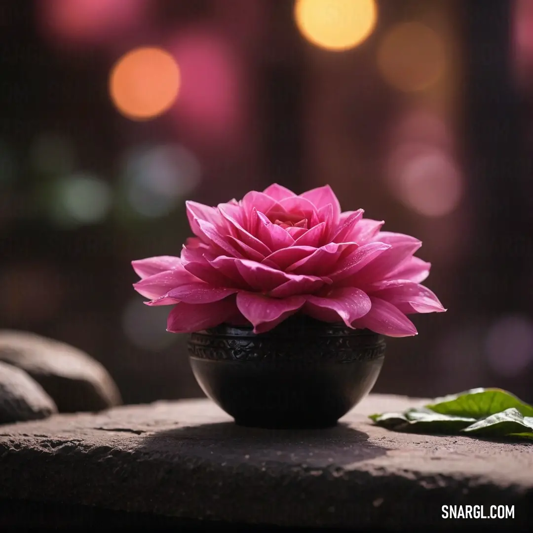 A stunning pink flower rests gracefully atop a rustic stone slab, perfectly complemented by a lush green planter nearby, creating a serene tableau that evokes feelings of tranquility and the beauty of nature.