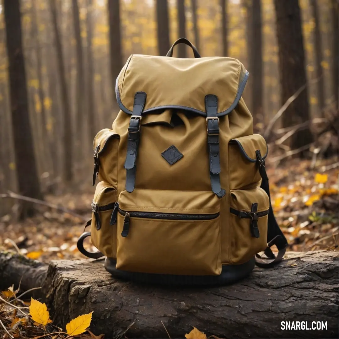 A rugged backpack resting on a log in a serene forest, surrounded by autumn leaves and a towering tree trunk. This captivating image evokes a sense of adventure and tranquility, highlighted with CMYK 0,50,86,45 colors.