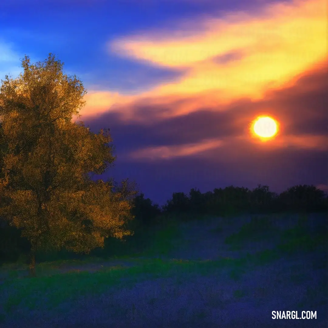 Tree in a field with a sunset in the background and clouds in the sky above it