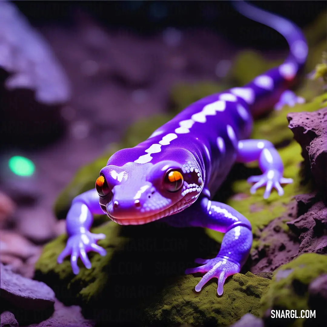 Purple and white lizard on a rock in a cave with green moss and rocks around it and a green light in the background