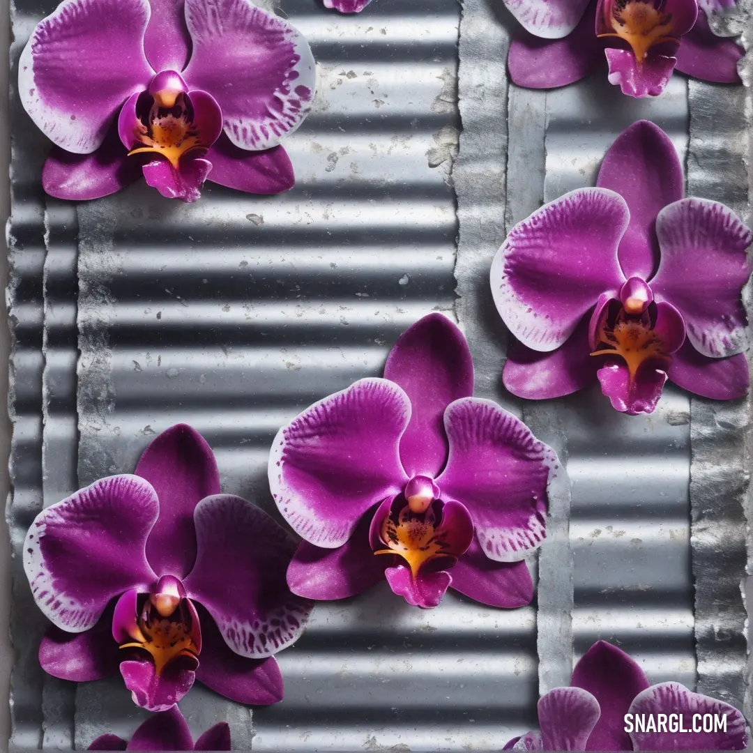 Group of purple flowers on a metal surface with a tin background. Color Sana.